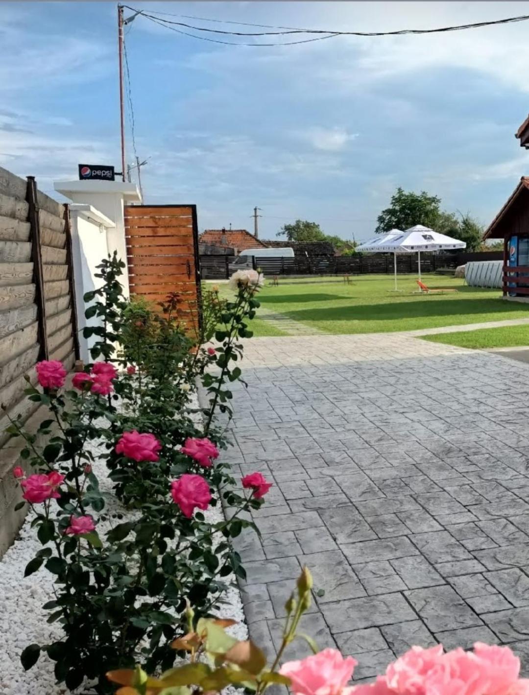 Family House Pristol Apartment Екстериор снимка